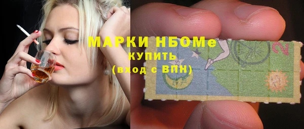 шишки Белоозёрский