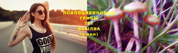 крисы Белокуриха
