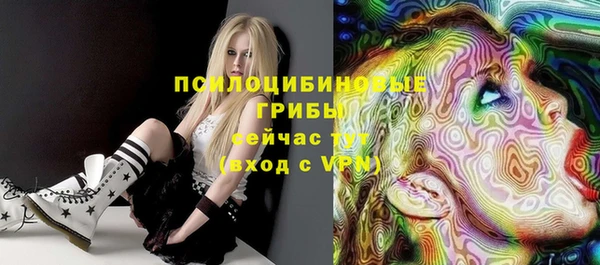 прущие грибы Баксан